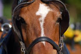 How Do You Define&nbsp;Success?